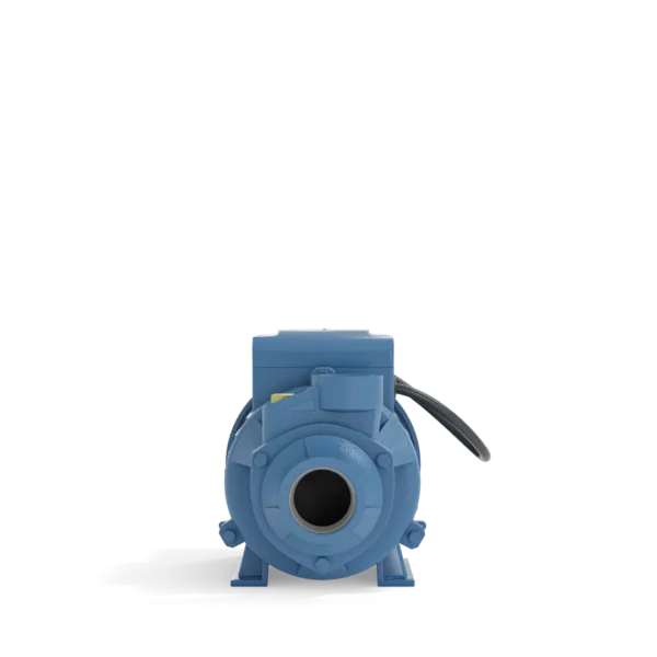 MOTOBOMBA PERIFERICA ELETROPLAS ICS-50AB 1/2HP 220V - Imagem 2